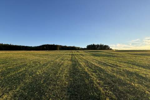 Działka 99a, rol-bud, Smerekowiec, Uście Gorlickie