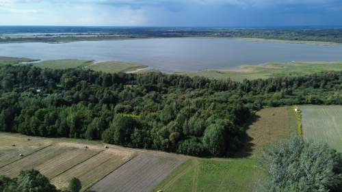 Działka, Wólka Nadrybska, 30 ar,