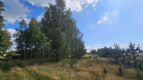 Działka, Wólka Wytycka, 10 ar, budowlana
