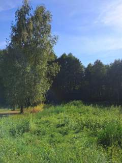 Działka budowlana 1200 m 2 w Pęclinie, gm. Wiązowna, woj. ma