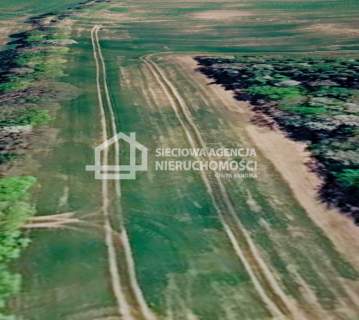 Działka rolna 3000 m2 Bychowo/Gniewino