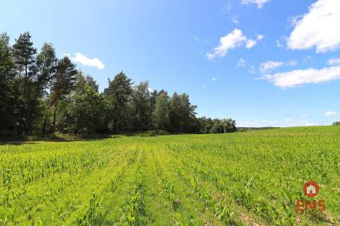 Działka budowlana na Mazurach Rożyńsk Wielki
