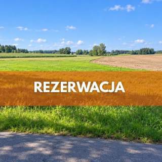 Malownicze Pasieki, las, media i asfalt