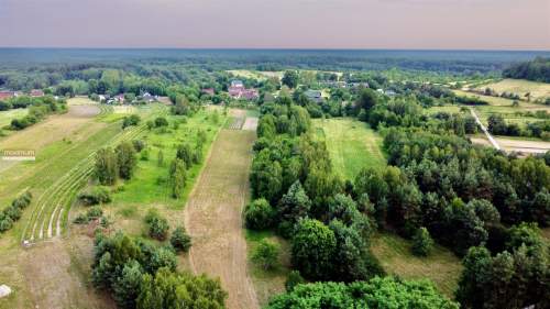 Siedlisko z gr. rolnymi i lasem 6,5ha Kajentanówka