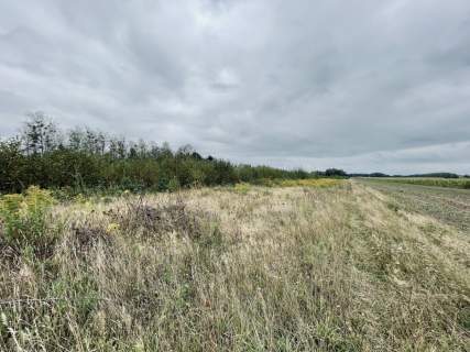 Działki budowlane 1000 m WZ projekt domu