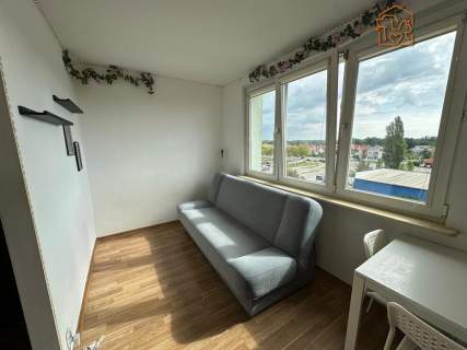 Fołtyn 3, Gołębiów, studio przyjazne dla zwierząt 