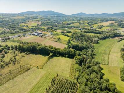 Działka rolno-leśna, 1,56 ha, Sadek, Jodłownik