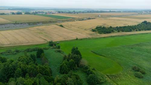 Działka rolna na sprzedaż, 5000 m2, Grabin
