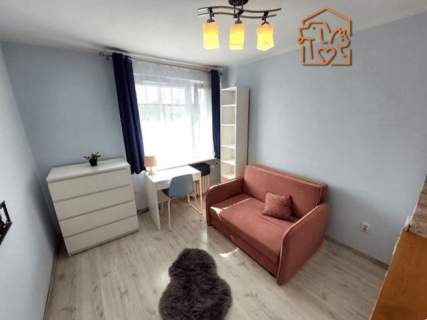 Studio, komórka, pet-friendly - Herberta 2