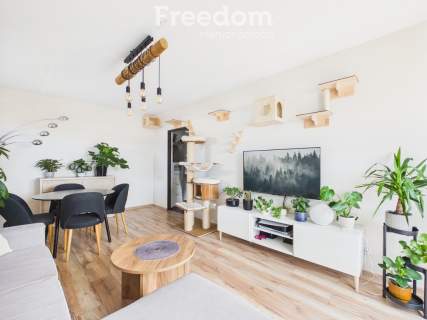 2 pokoje 51,46 m balkon hala garażowa