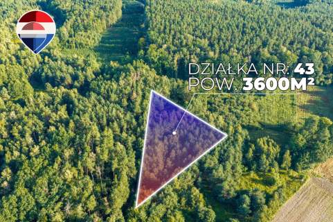 Działka leśna pow. 29.600 m , Bukowina Sycowska