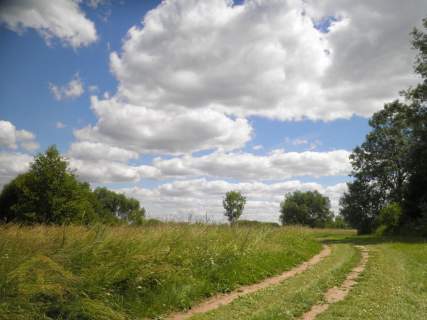 Działka rekreacyjna na sprzedaż, 1300 m2, Ostrówiec