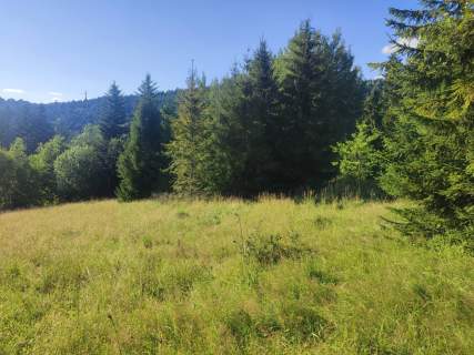 6245 m w Złatnej przestrzeń, las, góry i potencjał.