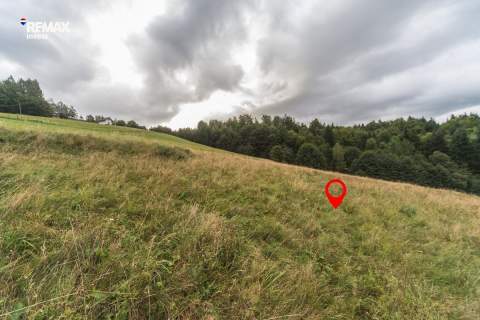 Widokowa działka budowlana w Wiśle 2000 m