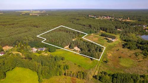 Teren 3,5ha w sercu Puszczy Noteckiej Prywatny las