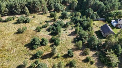 Działka w lesie 3006 m pozwolenie na budowę