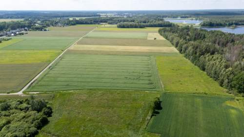 Działka rolna Hadra 4,6440 ha