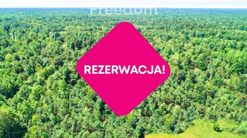 Działka/17 HA/Włodawa/Sobibór/Rzeka Bug