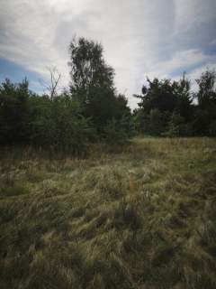 DZAŁKA W STRZEMIECZNE-WIOSNY-CISZA, NATURA,DOGODNY DOJAZD