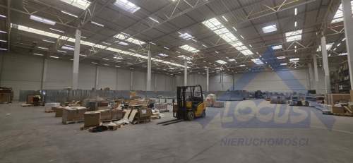 Magazyn Podnajem od 2000 do 5000 m2