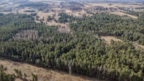 Działka na sprzedaż/Plot for sale