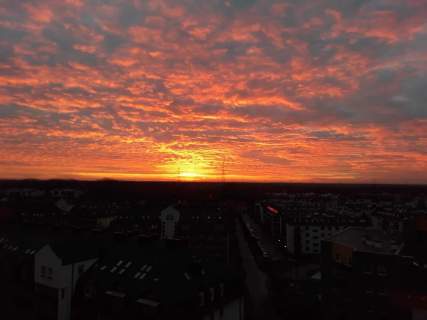 Wynajmę cichą kalalerkę z dobrą lokalizacją