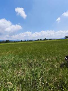 Lipowa Widokowa działka budowlana 1507 m 