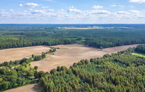 WYJĄTKOWA DUŻA DZIAŁKA SIEDLISKOWA NA KASZUBACH