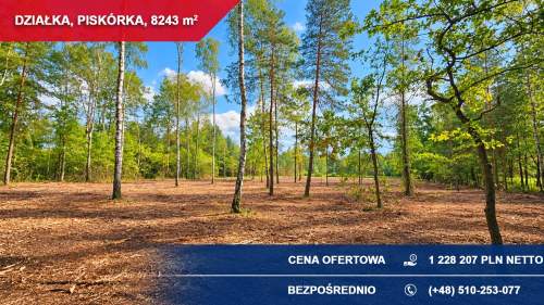 Atrakcyjna działka przy lesie z doskonałym dojazdem 8243 m Pi