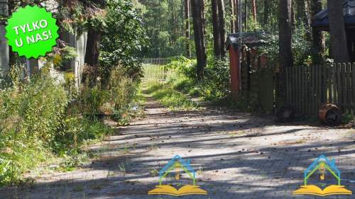 Działka leśno-budowlana blisko węzła S7, gm. Tarcz