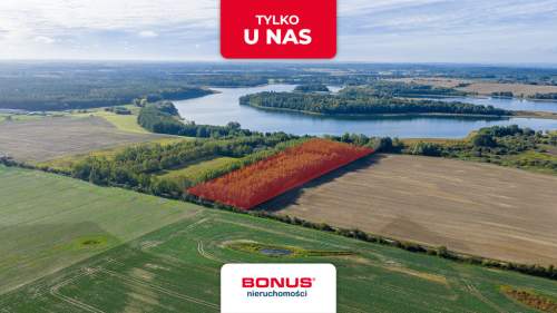 Własna linia brzegowa. Prywatny las. Jezioro.