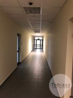 Biura w okolicy Placu Centralnego/ atrakcyjna cena