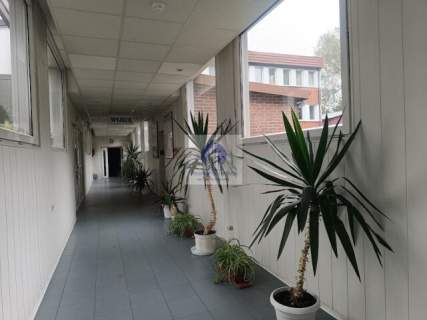 Mokotów lokal biurowy 20m2 do wynajęcia