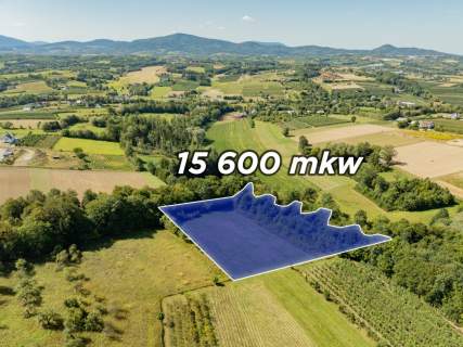Działka rolno-leśna, 1,56 ha, Sadek, Jodłownik