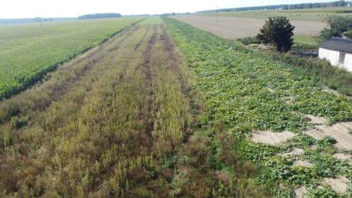 Miłków Kolonia. Piękna działka budowlana 