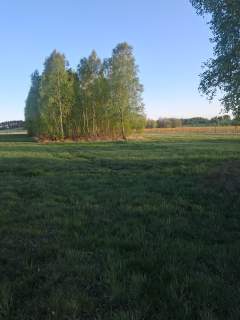 Działka budowlana o powierzchni 3900m2, Stobno Wieś