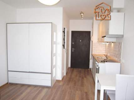 Kawalerka z mp, pet-friendly-Lawendowe Wzgórze 6A