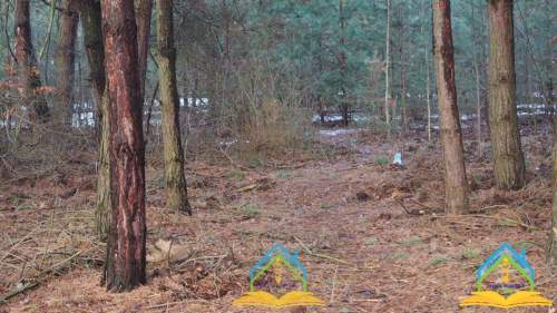 Działka budowlana pośród ciszy i spokoju