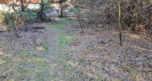Działka budowlana na sprzedaż, 2600 m2, Strzeniówka