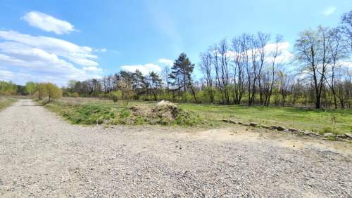 Działka wśród lasu Cisza, natura, MPZP Żółwin