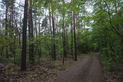 Działka budowlana w Otwocku.