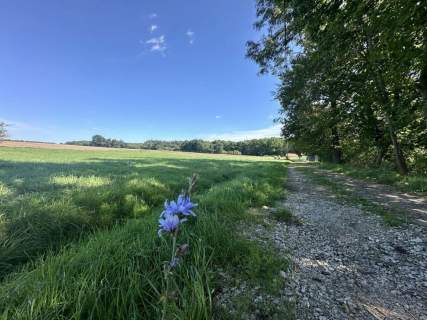 Działka 1900m2 w wyjątkowym miejscu
