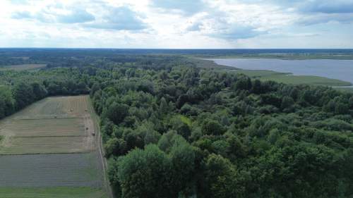 Działka, Wólka Nadrybska, 30 ar,