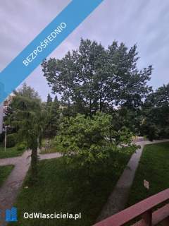 Bezpośrednio - 4 pokoje i kuchnia - 67,6 m - Nowe Miasto, P