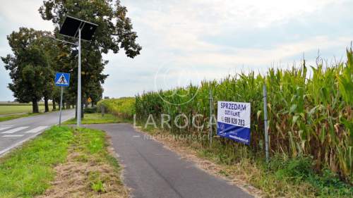  Działka, budowlana, Brąchnowo/gmina Łubianka