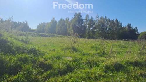 Działka pod dom/ rekreację   Liski, jezioro Garbas