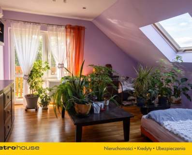 Dom z gotowym biznesem-plantacja borówki
