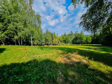 Domek letniskowy z dużą działką - Binczarowa