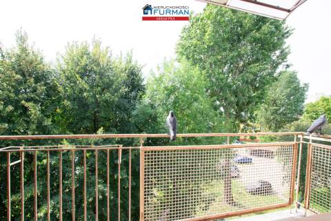 Mieszkanie do wynajęcia, 35 m2, Piła