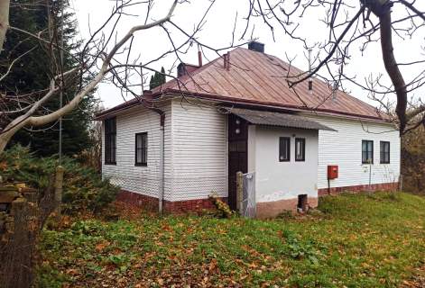 Siedlisko z działką